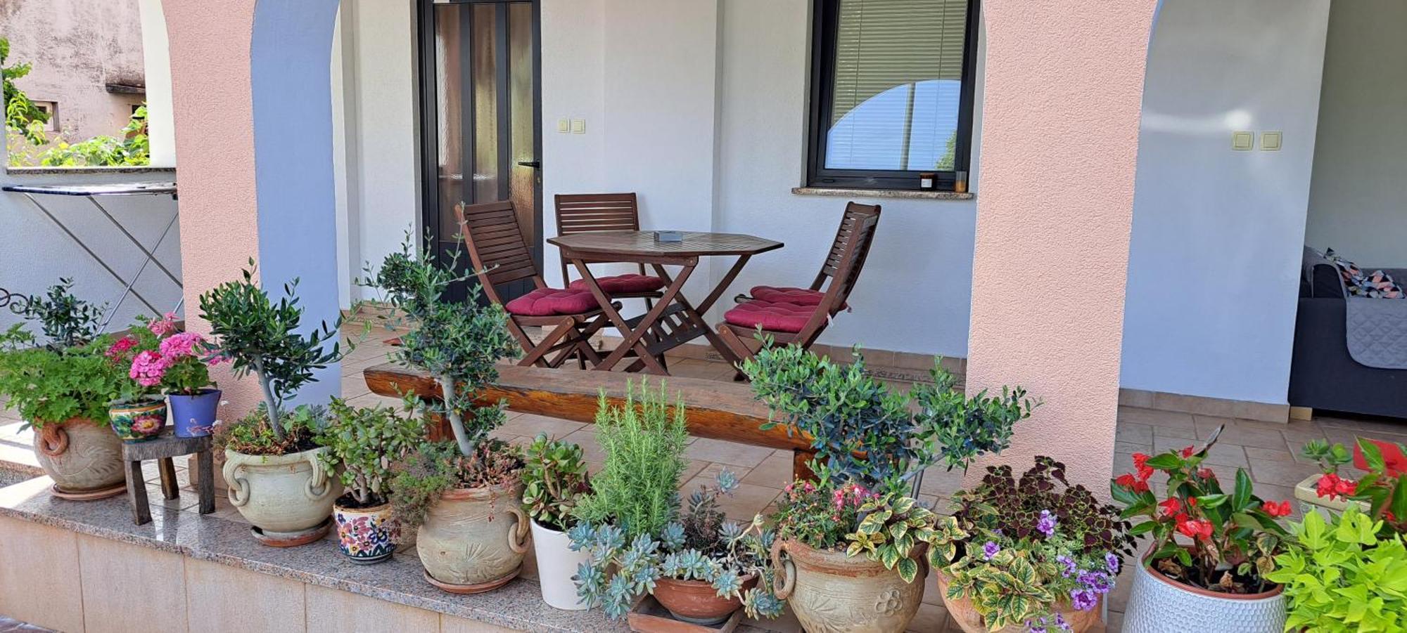 Apartmani Bubnic Umag Extérieur photo