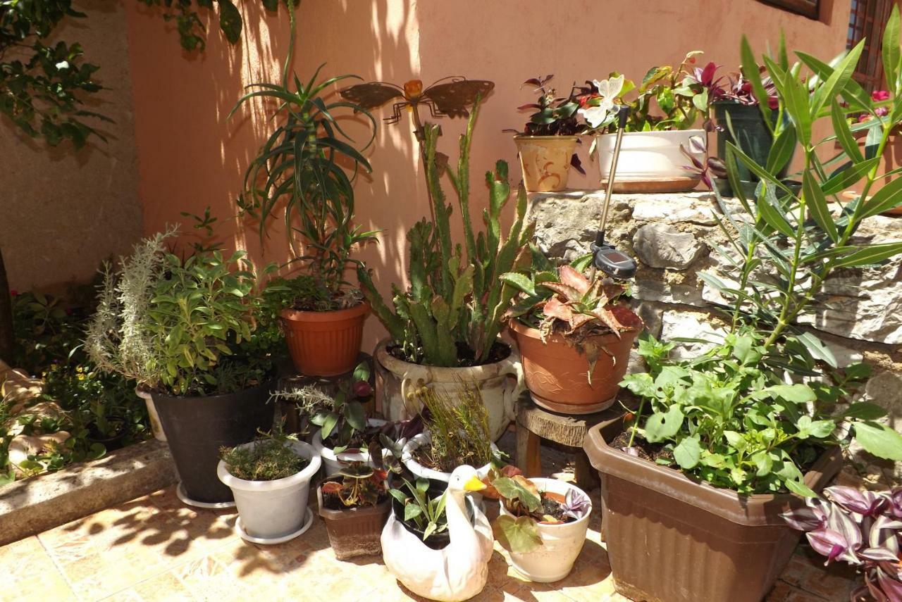 Apartmani Bubnic Umag Extérieur photo